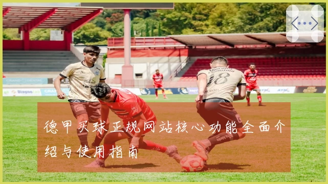 德甲买球正规网站核心功能全面介绍与使用指南