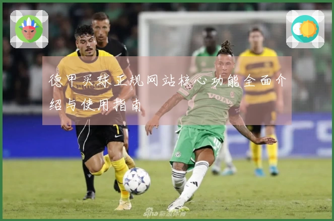 德甲买球正规网站核心功能全面介绍与使用指南