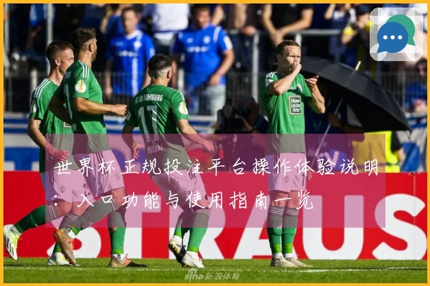 世界杯正规投注平台操作体验说明:入口功能与使用指南一览